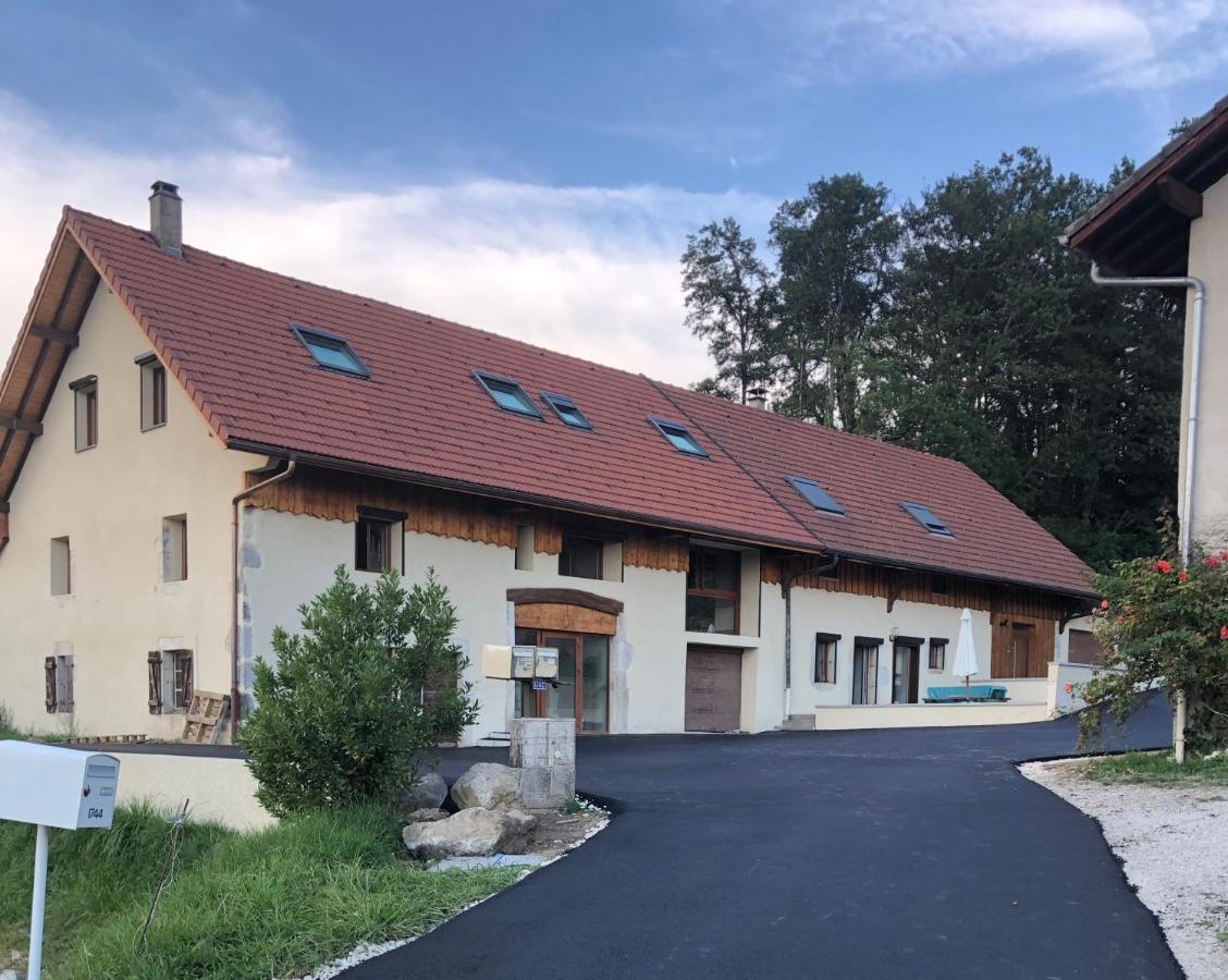 T2 Meuble De 40M2 Axe Annecy/Geneve Lejlighed Saint-Martin-Bellevue Eksteriør billede